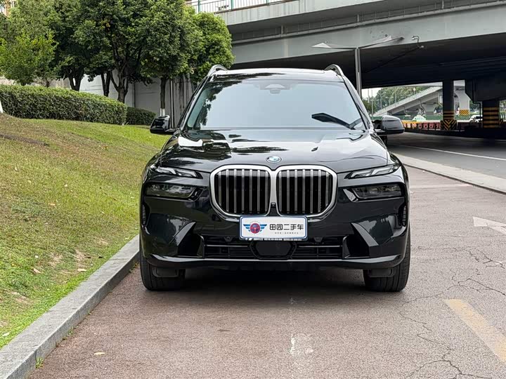 BMW X7 2023 2023款 xDrive40i 领先型豪华套装