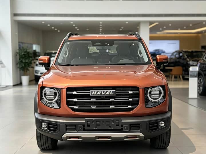 Фото 2 - Haval Dargo