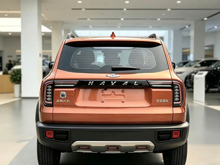 Фото 9 - Haval Dargo