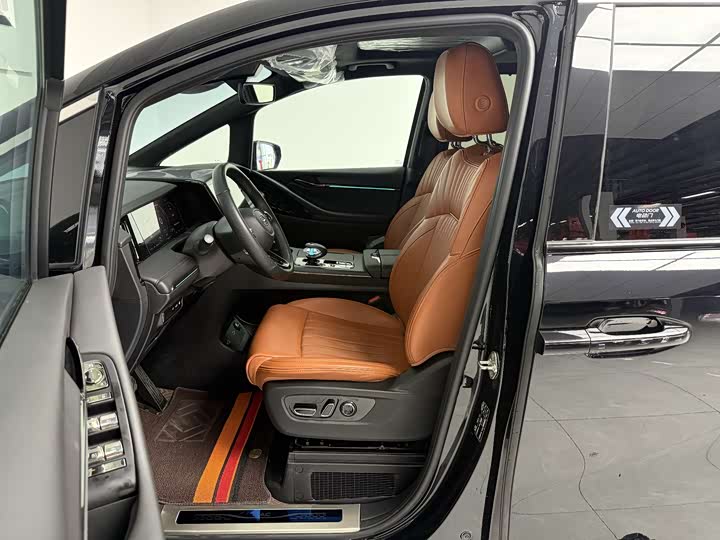 GAC Trumpchi E9 2024 2024款 E9 贺岁版