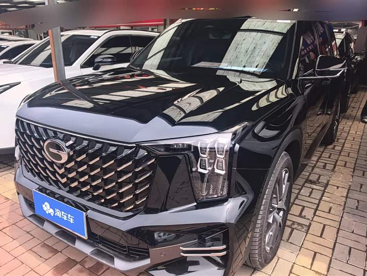 GAC Trumpchi GS8 2024 2024款 领航系列 2.0TGDI 两驱豪华智联版 7座