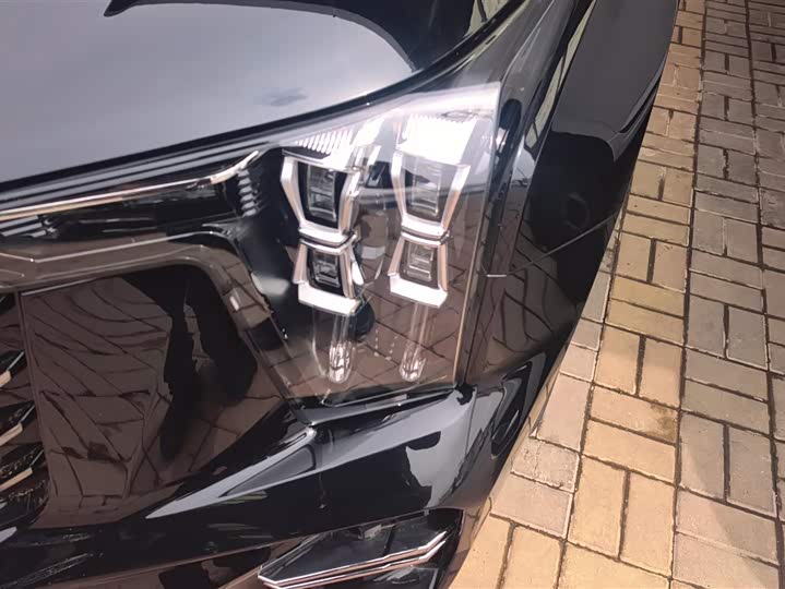 GAC Trumpchi GS8 2024 2024款 领航系列 2.0TGDI 两驱豪华智联版 7座