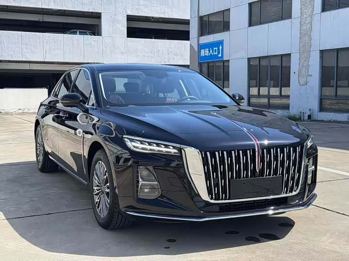 Zdjęcie 8 - Hongqi H5