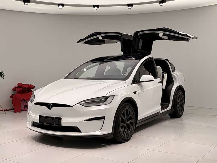 Tesla Model X 2023 2023款 双电机全轮驱动版