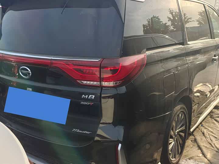 GAC Trumpchi M8 2021 2021款 大师系列 390T 尊贵版