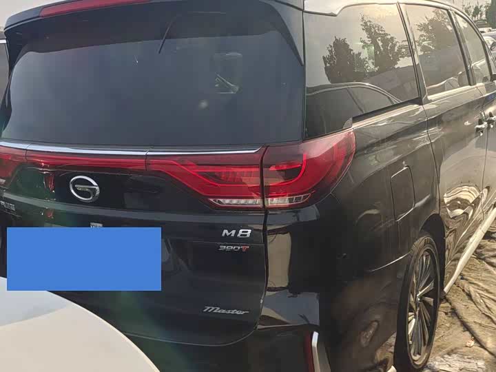 GAC Trumpchi M8 2021 2021款 大师系列 390T 尊贵版
