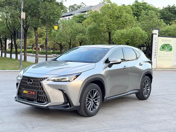 Lexus NX 2025 2025款 260 前驱 特别版