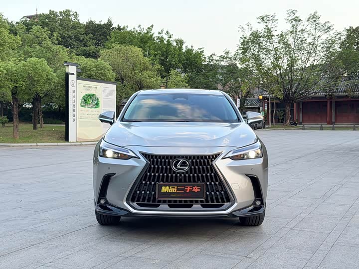Lexus NX 2025 2025款 260 前驱 特别版
