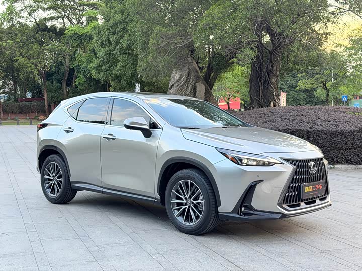 Lexus NX 2025 2025款 260 前驱 特别版