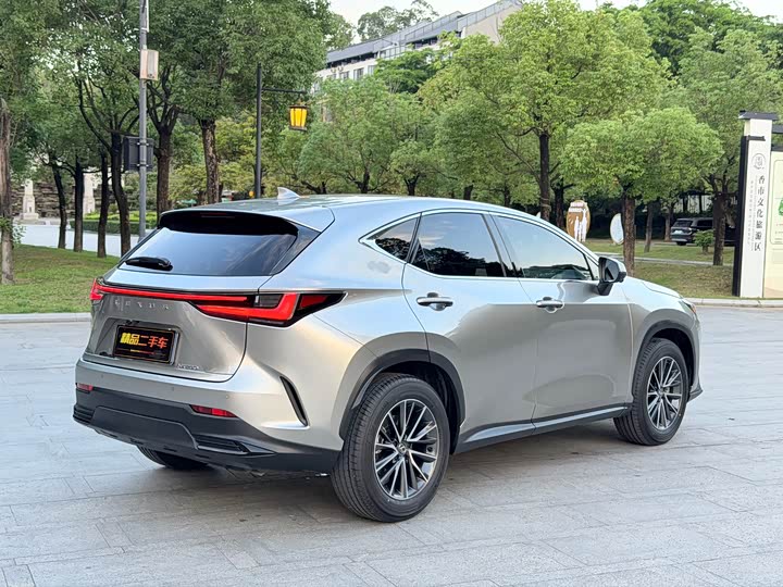 Lexus NX 2025 2025款 260 前驱 特别版