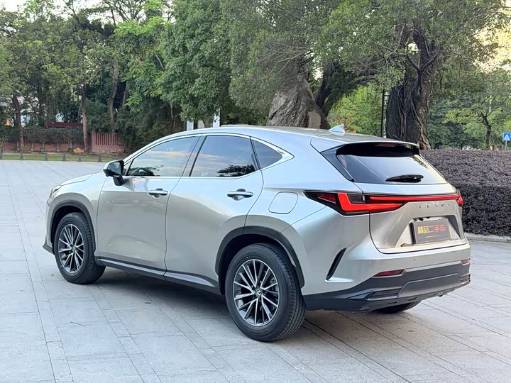 Lexus NX 2025 2025款 260 前驱 特别版
