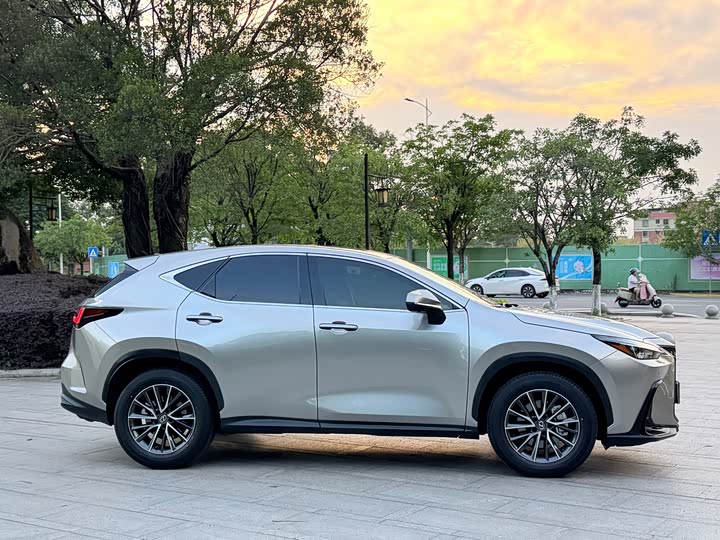 Lexus NX 2025 2025款 260 前驱 特别版