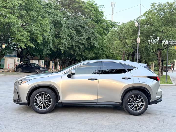 Lexus NX 2025 2025款 260 前驱 特别版
