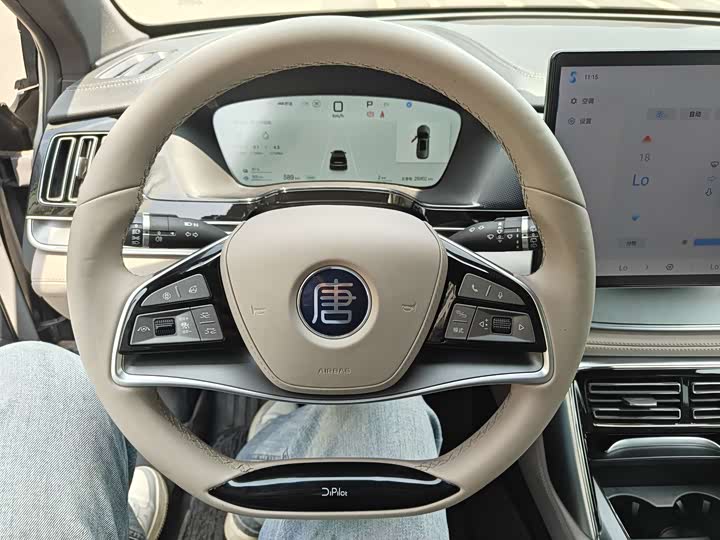 Zdjęcie 5 - BYD Tang Hybrid/EV