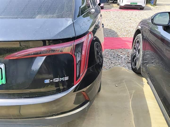 Zdjęcie 8 - Hongqi E-QM5