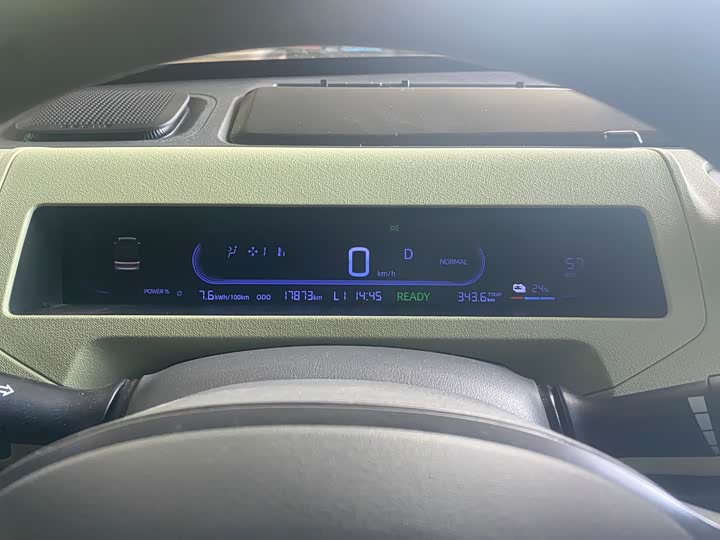 Geely Galaxy Panda Mini 2023 2023款 熊猫mini 200km 耐力熊