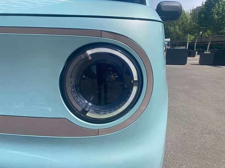 Geely Galaxy Panda Mini 2023 2023款 熊猫mini 200km 耐力熊