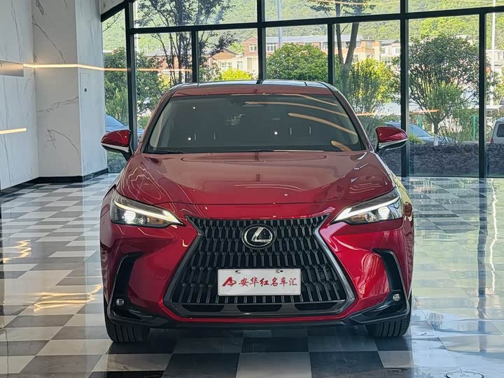 2025 Lexus NX