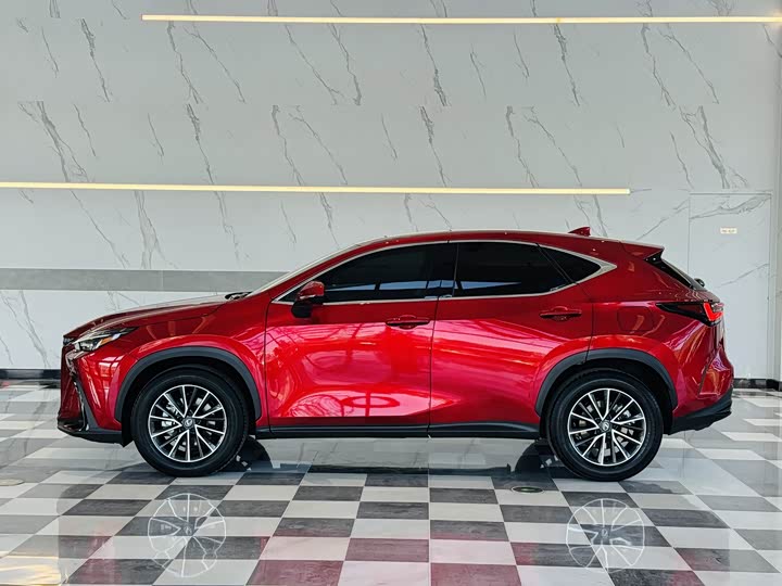 2025 Lexus NX