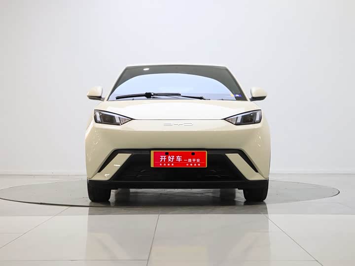 Фото 2 - BYD Seagull