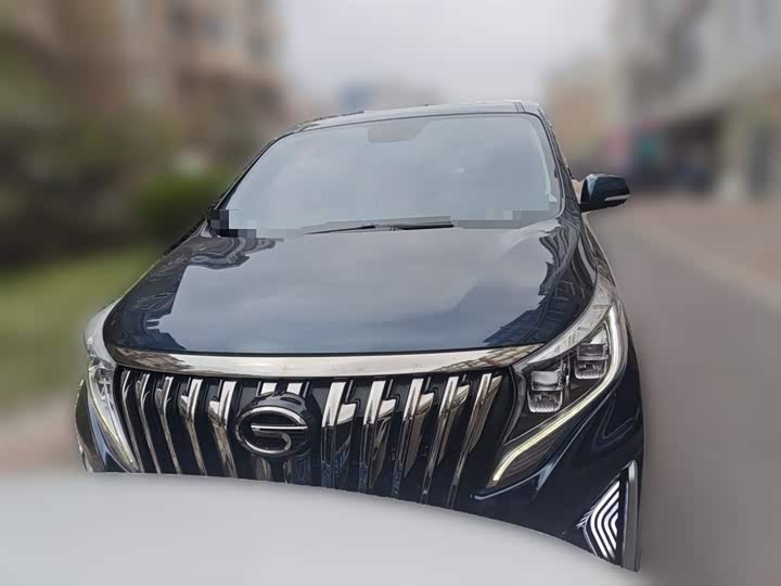 GAC Trumpchi M8 2021 2021款 大师系列 390T 尊贵版