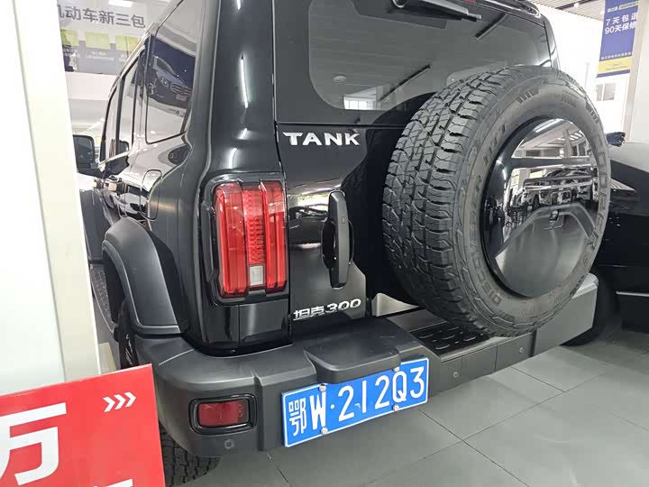 Zdjęcie 6 - Tank 300