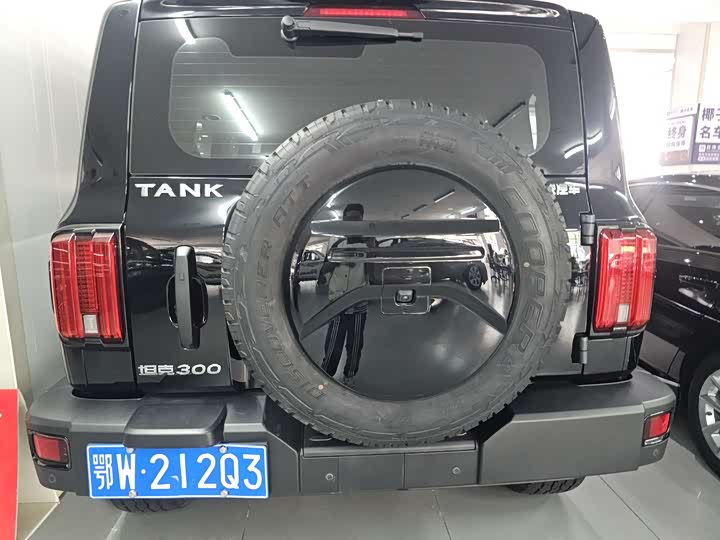 Zdjęcie 7 - Tank 300