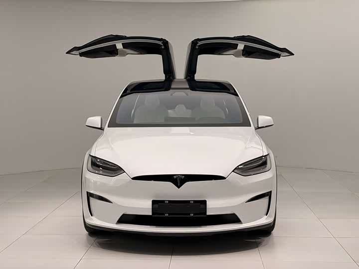 Tesla Model X 2023 2023款 双电机全轮驱动版