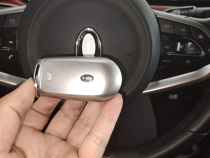 Ora Good Cat GT (03 GT) 2022 2022款 木兰版 480km长续航