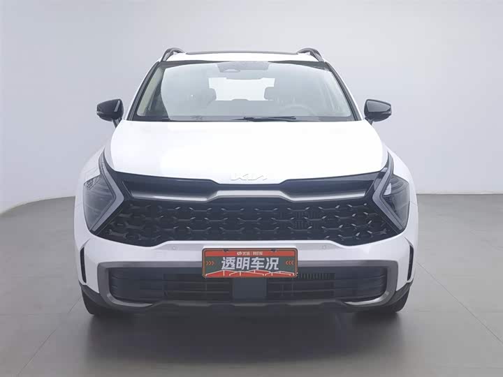 Kia Sportage 2023 2023款 1.5T 两驱尊贵版