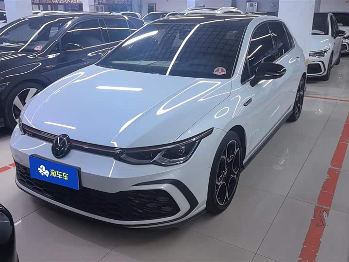 Volkswagen Golf GTI 2023 2023款 380TSI DSG GTI