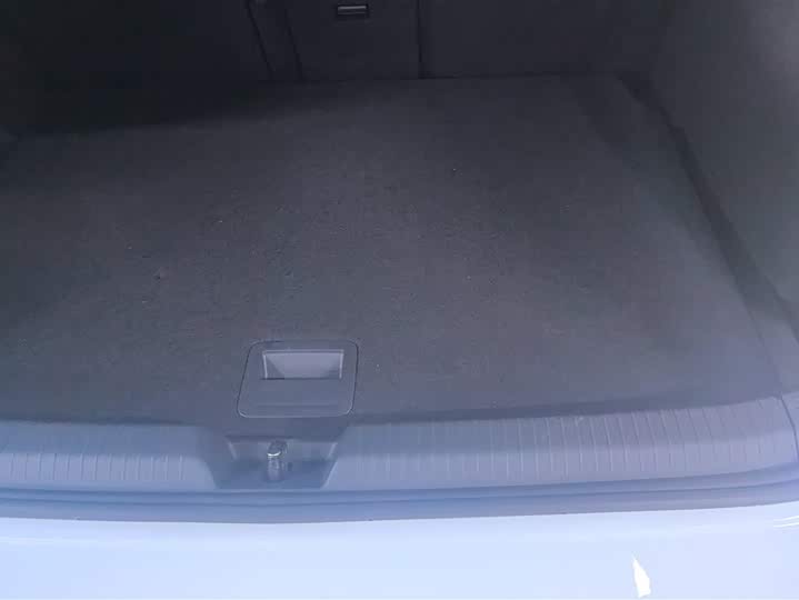 Volkswagen Golf GTI 2023 2023款 380TSI DSG GTI