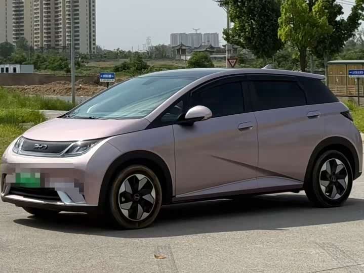 Фото 2 - BYD Dolphin