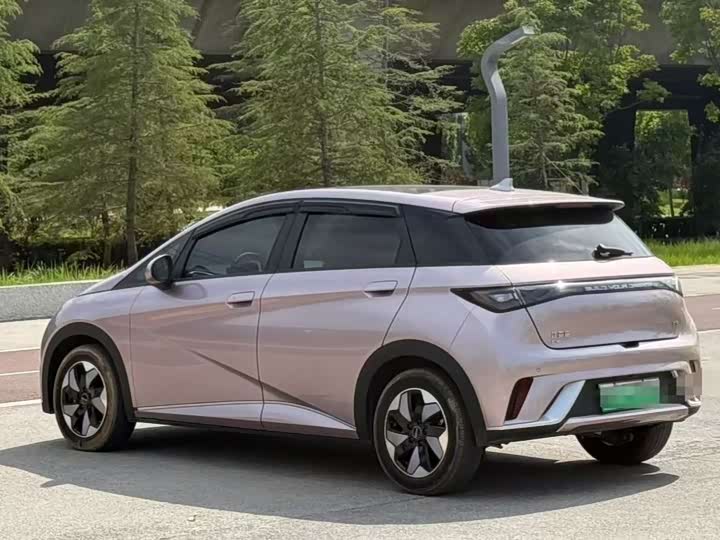 Фото 7 - BYD Dolphin