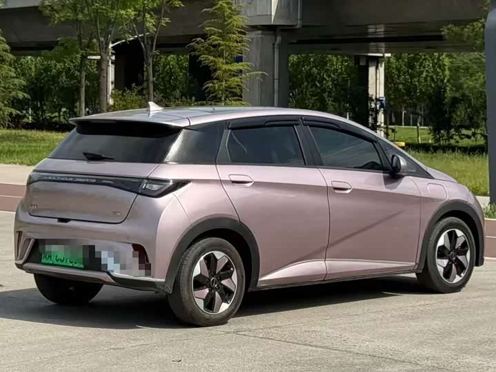 Фото 8 - BYD Dolphin