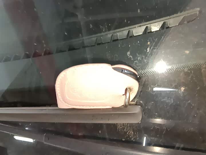 Roewe Clever 2022 2022款 311km元气啵啵版