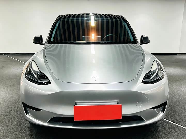 Tesla Model Y 2024 2024款 后轮驱动版