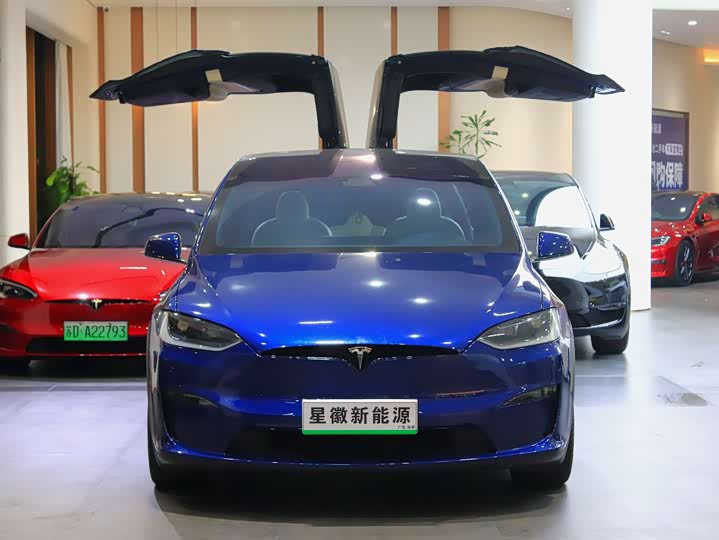 Tesla Model X 2023 2023款 双电机全轮驱动版