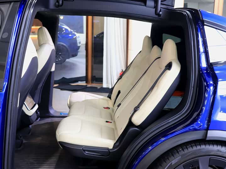 Tesla Model X 2023 2023款 双电机全轮驱动版