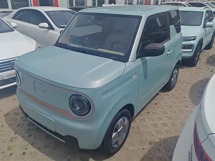 Geely Galaxy Panda Mini 2023 2023款 熊猫mini 200km 耐力熊