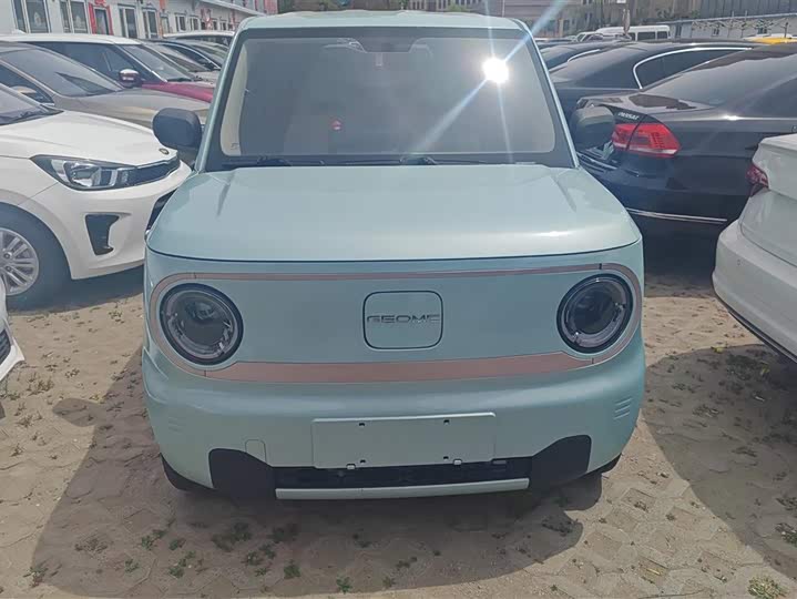 Geely Galaxy Panda Mini 2023 2023款 熊猫mini 200km 耐力熊