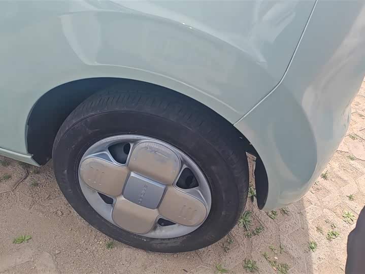Geely Galaxy Panda Mini 2023 2023款 熊猫mini 200km 耐力熊
