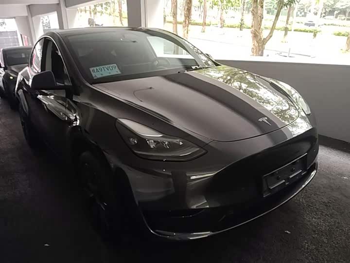 Tesla Model Y 2024 2024款 后轮驱动版