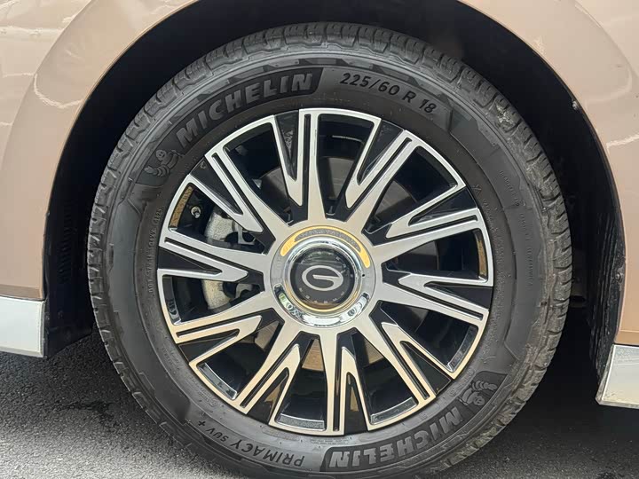 GAC Trumpchi E9 2023 2023款 E9 冠军版