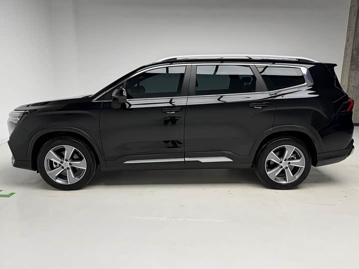 Geely Okavango L 2024 2024款 2.0T DCT尊贵型