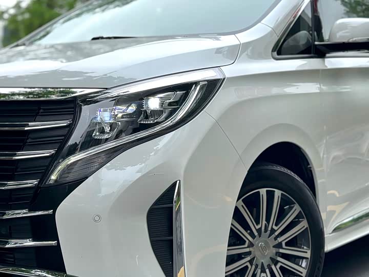 GAC Trumpchi M8 2021 2021款 领秀系列 390T 至尊版