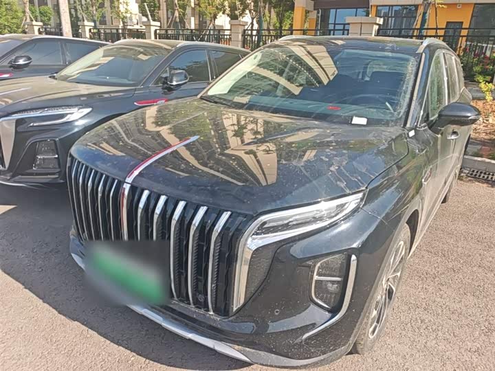 Фото 2 - Hongqi HS7 Hybrid