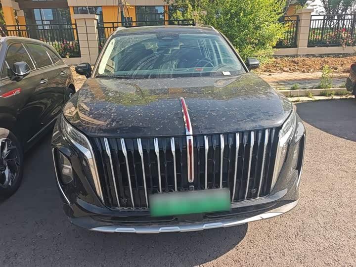 Фото 3 - Hongqi HS7 Hybrid