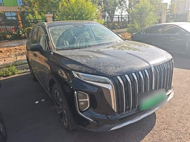 Фото 4 - Hongqi HS7 Hybrid