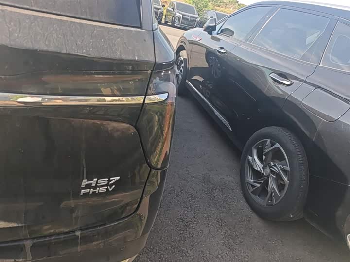 Фото 8 - Hongqi HS7 Hybrid